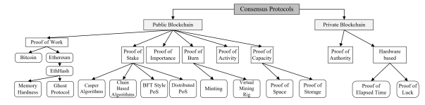 Figure 2.2: Consensus protocols categorized based on blockchain’s type.